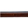 Image 17 : FRENCH GRAS | Model: 1874/80/14 | Caliber: 8MM LEBEL