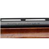 Image 15 : REMINGTON | Model: 870 Express | Caliber: 12 G X 3"