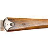Image 15 : SWISS SCHMIDT RUBIN | Model: 1896/11 | Caliber: 7.5 X 55