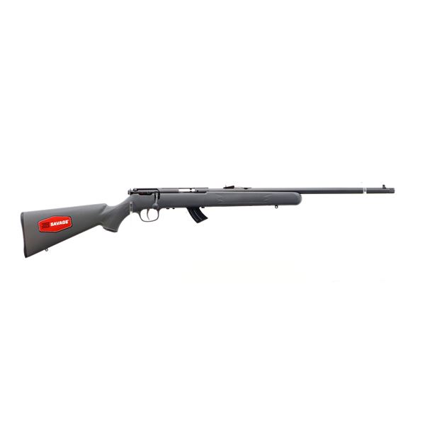 SAVAGE | Model: 300F | Caliber: .22 LR