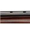 Image 10 : REMINGTON | Model: 870 Express | Caliber: 12 G X 3"