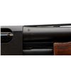 Image 9 : REMINGTON | Model: 870 Express | Caliber: 12 G X 3"