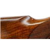 Image 12 : BERETTA | Model: A303 | Caliber: 12 G X 3"