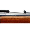 Image 13 : REMINGTON | Model: 722 | Caliber: .244 REM (6MM REM)