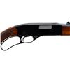 Image 3 : WINCHESTER | Model: 250 | Caliber: .22 LR