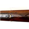 Image 14 : MARLIN | Model: 1893 | Caliber: .32-40 WCF