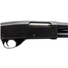Image 3 : SPRINGFIELD | Model: 67F | Caliber: 410 G X 3"
