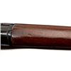 Image 15 : LEE ENFIELD LONG BRANCH | Model: NO4 MKI* Custom | Caliber: .303 BR