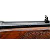 Image 11 : WINCHESTER | Model: 100 | Caliber: .308 WIN