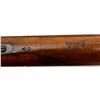 Image 24 : SWISS VETTERLI | Model: 1868 Sporter | Caliber: 10.35 X 47 CF