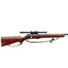 Image 2 : SAVAGE | Model: 19 | Caliber: .22 LR