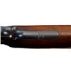 Image 17 : REMINGTON | Model: 12A | Caliber: .22 LR