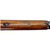Image 25 : UNKNOWN RUSSIAN | Model: K12 | Caliber: 12 G X 2 1/2"