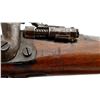 Image 14 : UNKNOWN BELGIAN | Model: Zulu | Caliber: 12 G X 2 5/8"