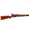 Image 2 : MOSSBERG | Model: 151M (A) | Caliber: .22 LR