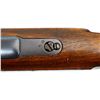 Image 16 : UNKNOWN GERMAN | Model: Mauser Shotgun | Caliber: 12 G X 2 3/4"