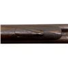 Image 10 : HANS G SVENSON LIEGE | Model: Hammer Gun | Caliber: 16 G X 2 1/2"