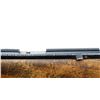 Image 8 : CIL ANSCHUTZ | Model: 125 | Caliber: .22 LR