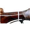 Image 8 : WINCHESTER | Model: 1901 First Year Production | Caliber: 10 G X 2 7/8"