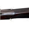 Image 13 : FRED WILLIAMS BIRMINGHAM | Model: Hammer Gun | Caliber: 10 G X 2 7/8"