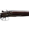 Image 3 : FRED WILLIAMS BIRMINGHAM | Model: Hammer Gun | Caliber: 10 G X 2 7/8"