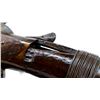 Image 8 : AMERICAN GUN CO | Model: Victor Plain | Caliber: 12 G X 2 3/4"