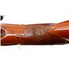 Image 10 : SPRINGFIELD | Model: 951 | Caliber: 410 G X 3"