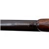 Image 13 : UNKNOWN MAKER | Model: Single Shot | Caliber: 12 G X 2 3/4"