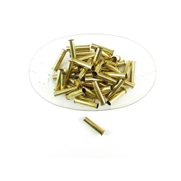 NEW NON-PRIMED REMINGTON .45-70 GOVT BRASS CASES LOT