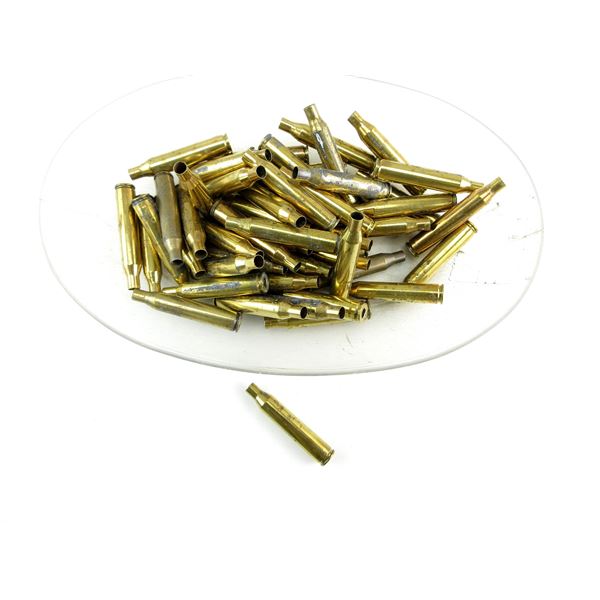 NON-PRIMED ASSORTED .25-06 REM AMMO LOT