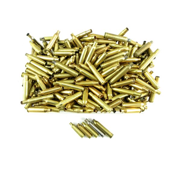 NON-PRIMED ASSORTED BRASS AND NICKEL CASES LOT