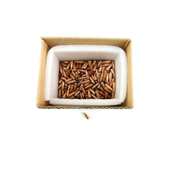 UNKNOWN .22 CALIBER BULLETS LOT