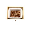 Image 1 : UNKNOWN .22 CALIBER BULLETS LOT