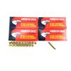 Image 1 : AMERICAN EAGLE .223 REM AMMO LOT