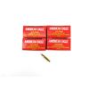 Image 2 : AMERICAN EAGLE .223 REM AMMO LOT