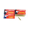 Image 1 : AMERICAN EAGLE .223 REM AMMO LOT