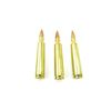 Image 2 : PMC .223 REM AMMO LOT