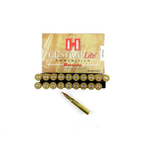 HORNADY .30-06 SPRG AMMO LOT