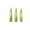 Image 2 : CANADIAN MILITARY 5.56X45MM AMMO LOT
