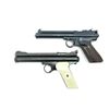 Image 1 : ASSORTED CROSMAN .177 CAL. PELLET PISTOL LOT