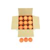 Image 1 : CHAMPION TRAP & SKEET TARGETS