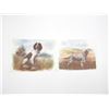 Image 1 : ASSORTED HUNTING DOG PRINT LOT