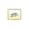 Image 1 : WOOD DUCK FRAMED PRINT