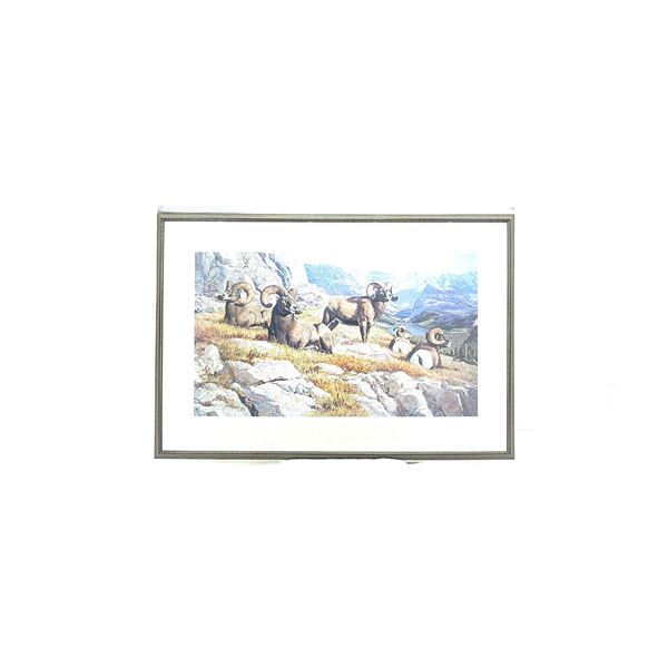 BIG HORNED SHEEP FRAMED PRINT