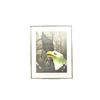Image 1 : "THE WARRIORS" FRAMED PRINT