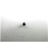 Image 2 : HUMMASON LEAD SHOT