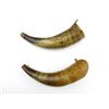 Image 1 : ASSORTED BLACK POWDER HORN LOT