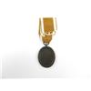 Image 2 : WWII GERMAN WEST WALL MEDAL