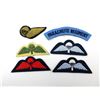 Image 3 : ASSORTED BRITISH AIRBORNE / PARATROOPER BADGES LOT