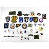 Image 1 : ASSORTED U.S. AIRBORNE / PARATROOPER BADGES & PINS LOT